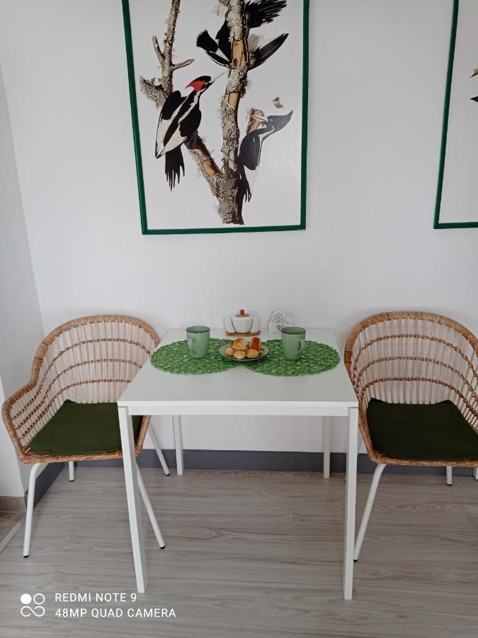 Studio Lesne Lubniewice Ngoại thất bức ảnh
